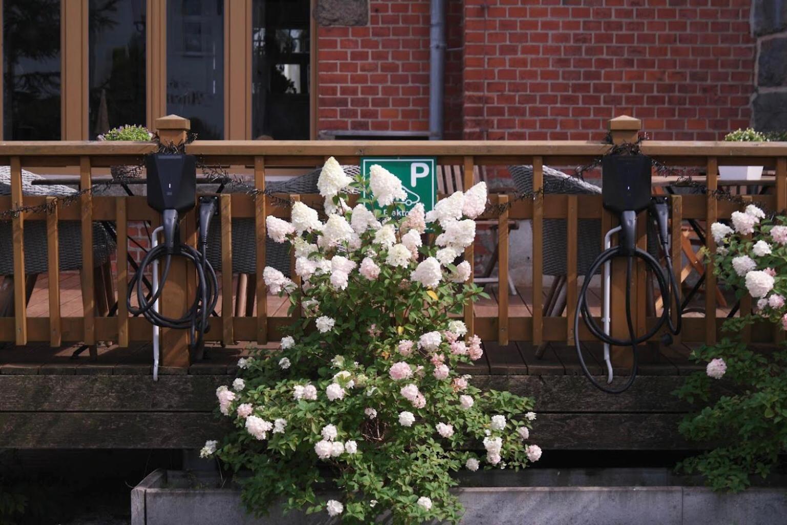 Comfort-Hotel Garni Schierker Waldperle - Inklusive Wellness Bagian luar foto
